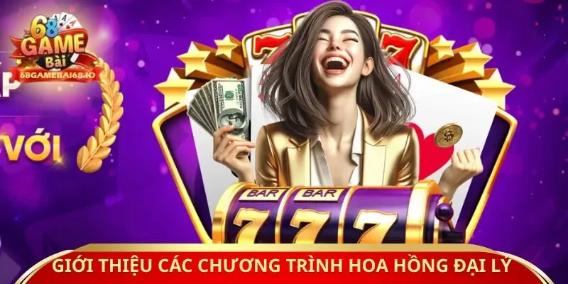 Giới thiệu các chương trình hoa hồng đại lý 