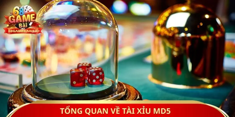 Tổng quan về Tài Xỉu MD5